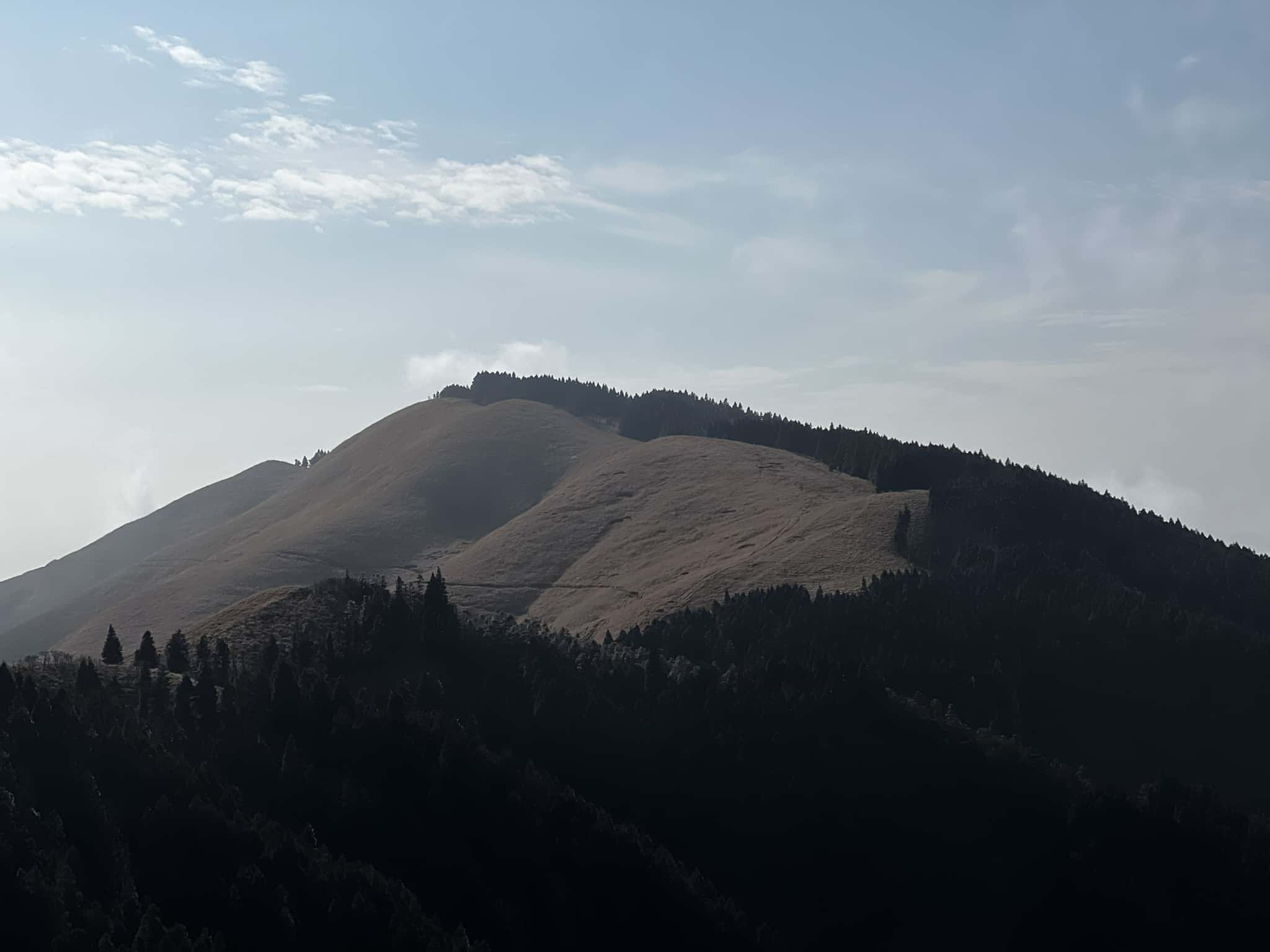 迎风坡与背风坡的植被，很神奇