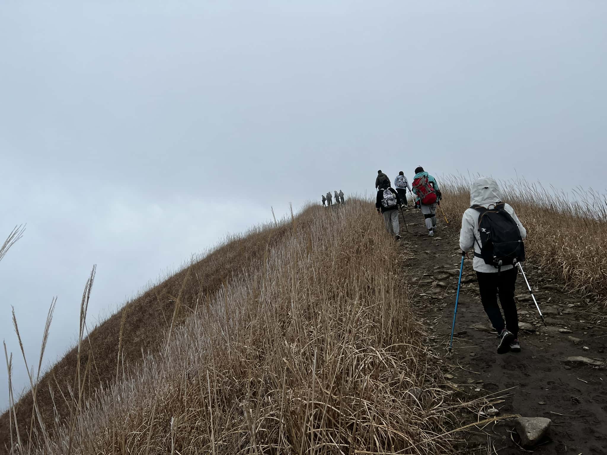 之后越往上走越起雾，直到什么都看不见