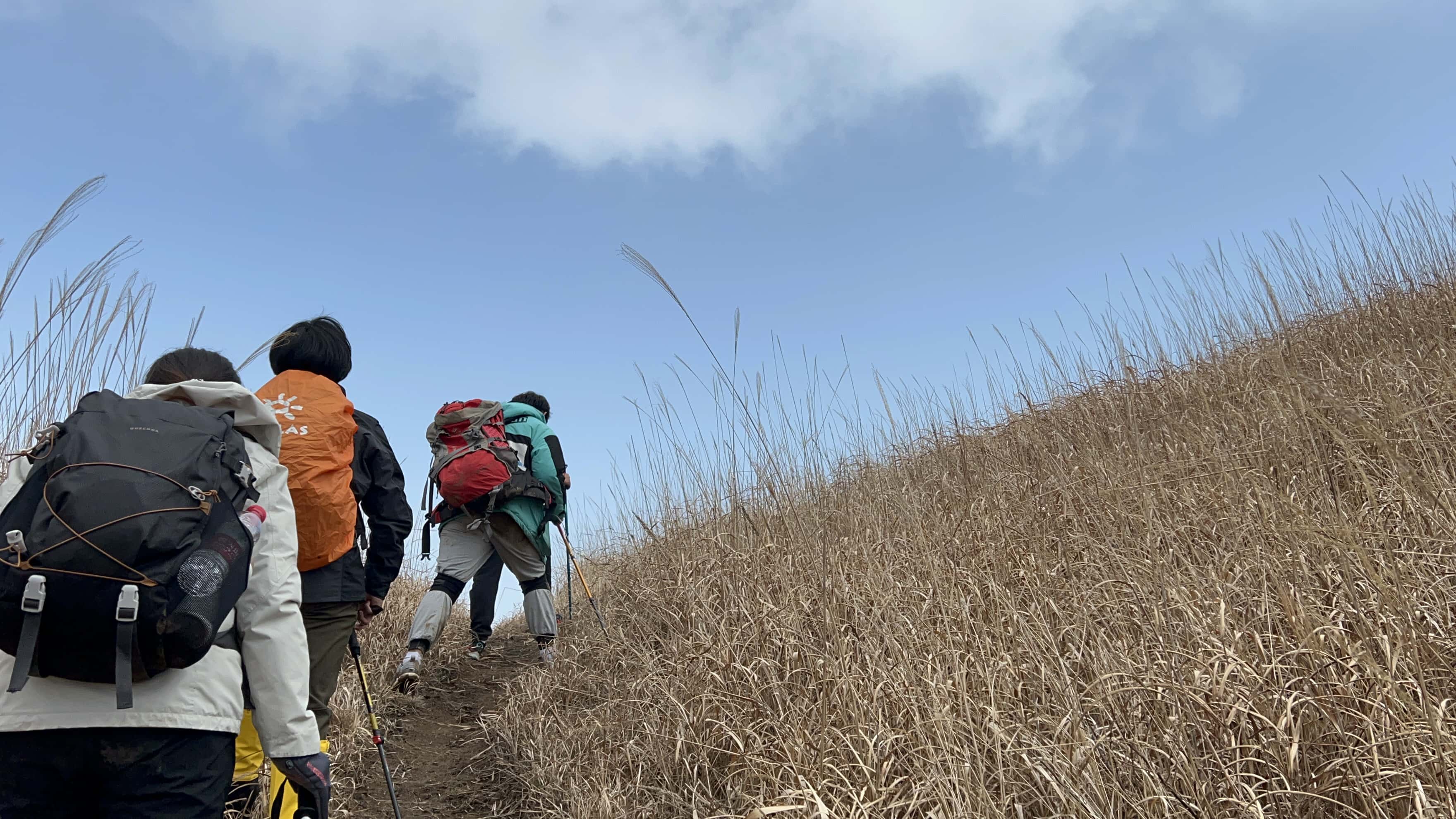 天晴了一小会，进入了草甸路