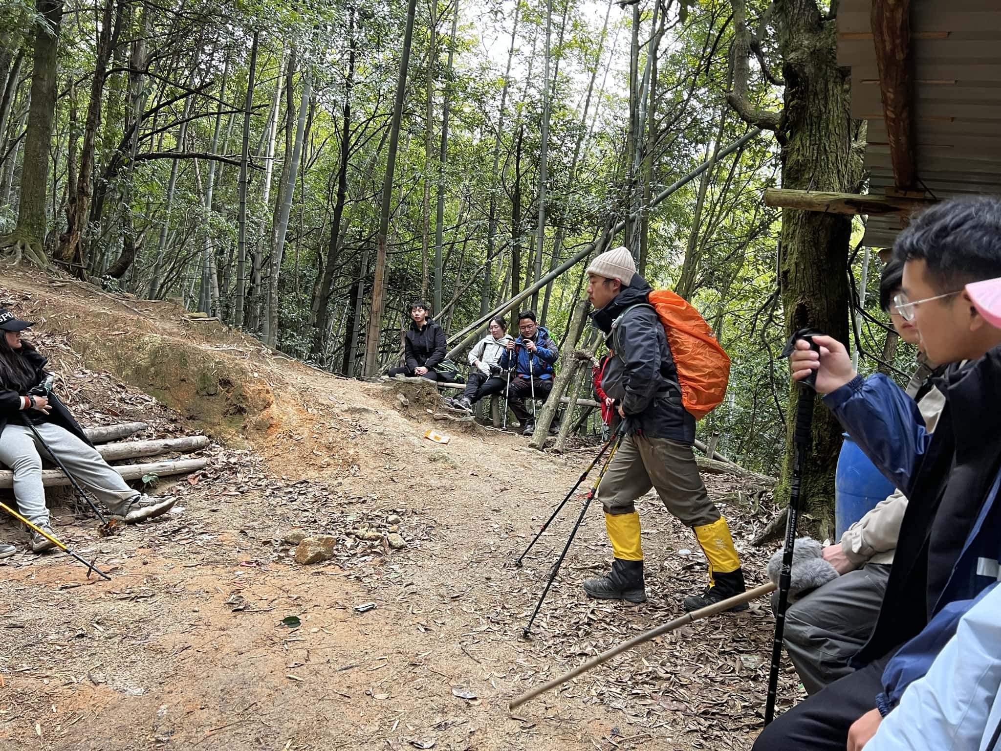 走了一会回到了竹林